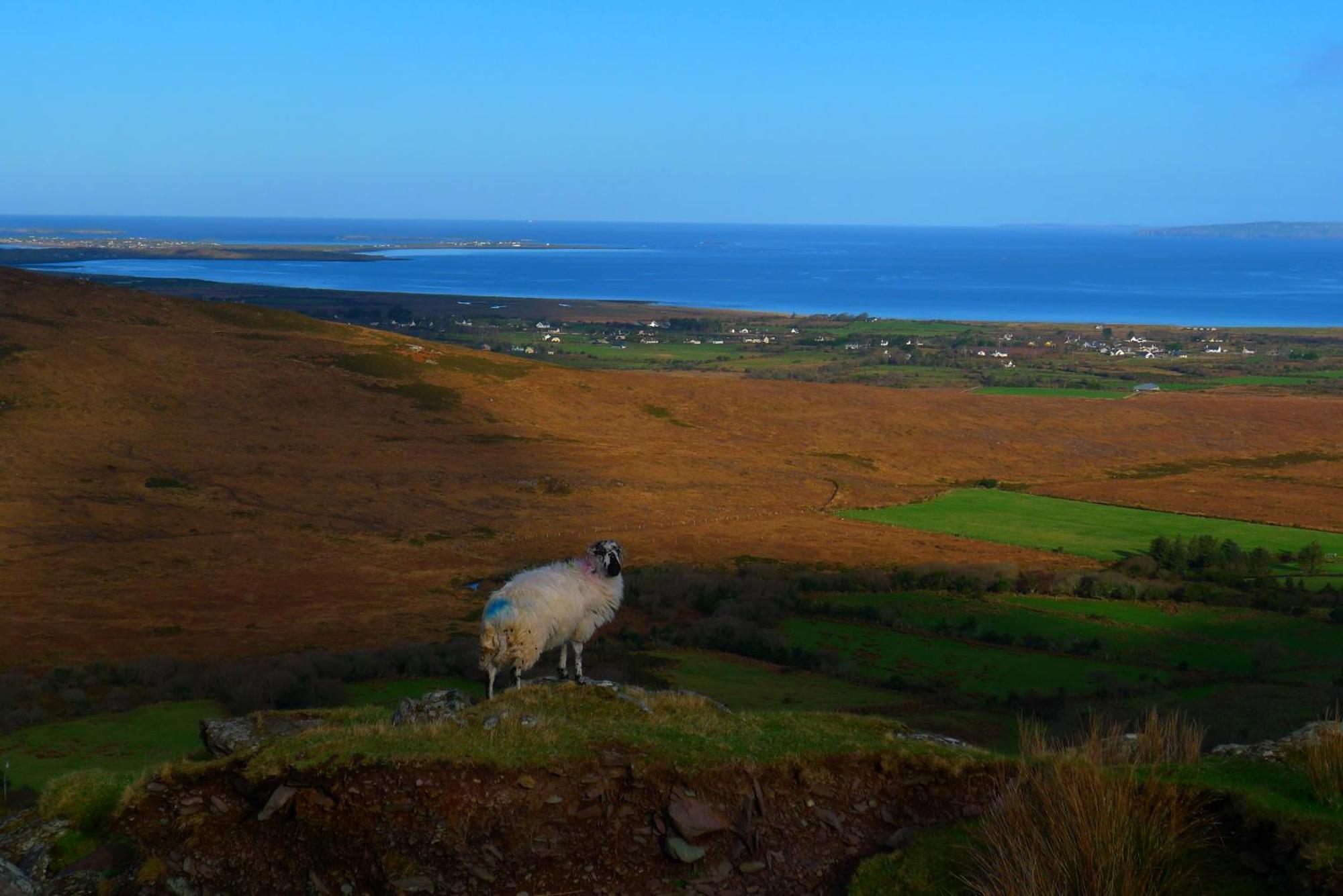 Keanes Of Curraheen, Bar, Restaurant & Accommodation Tralee Bagian luar foto