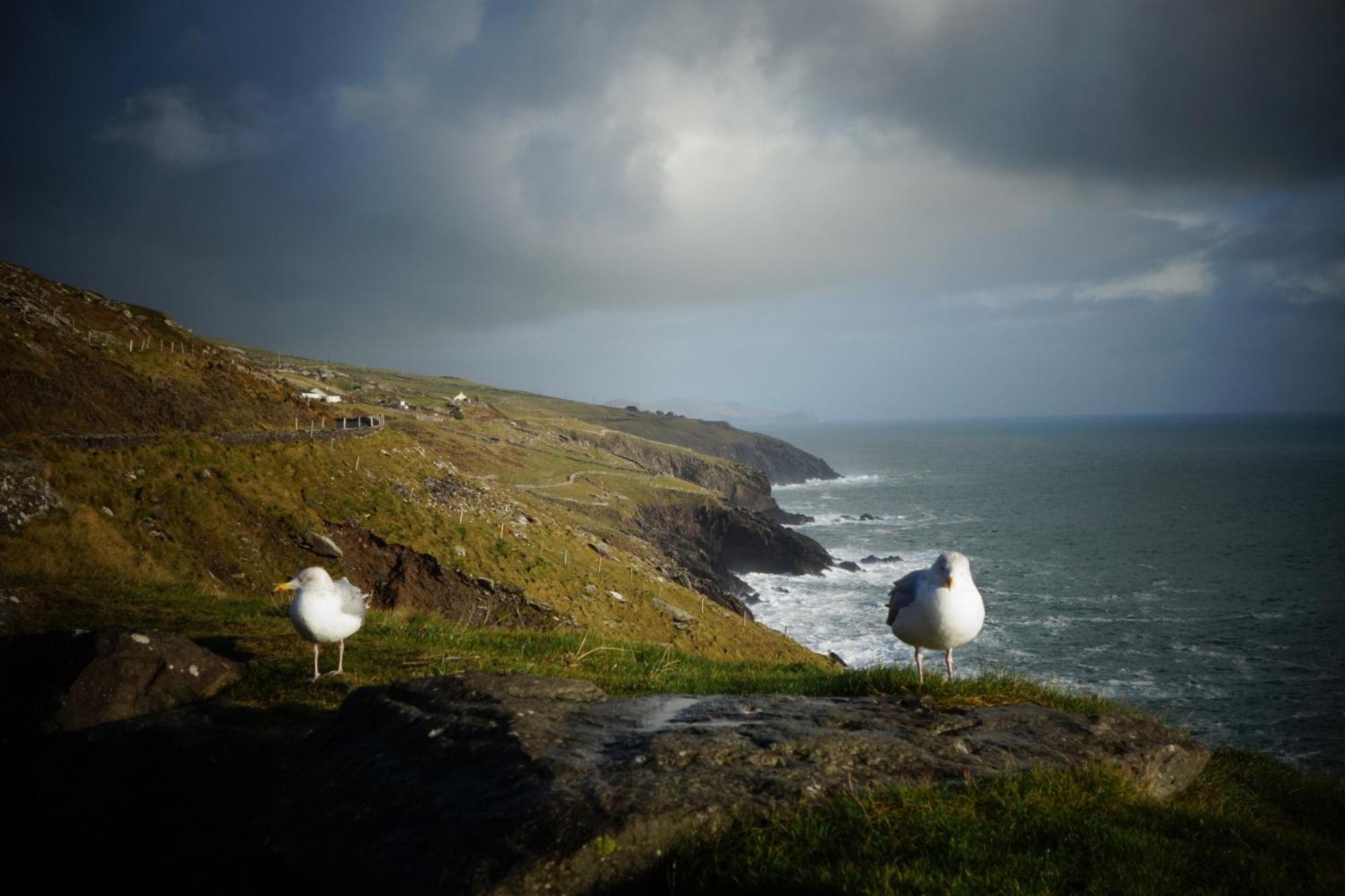 Keanes Of Curraheen, Bar, Restaurant & Accommodation Tralee Bagian luar foto